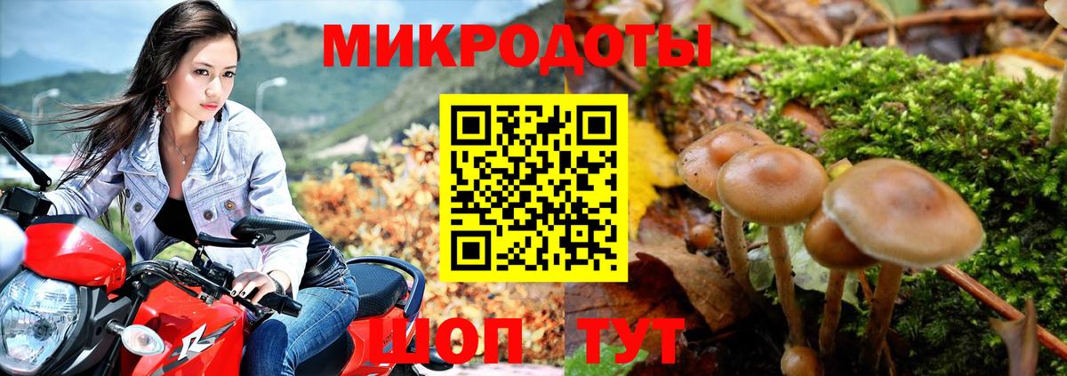 Галлюциногенные грибы Cubensis  Вход с VPN  Дивногорск  Псилоцибиновые грибы Psilocybine cubensis 