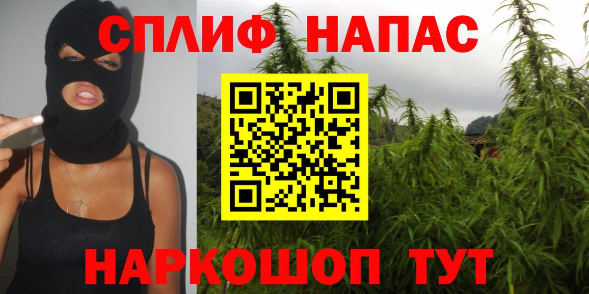 Конопля гибрид Дивногорск